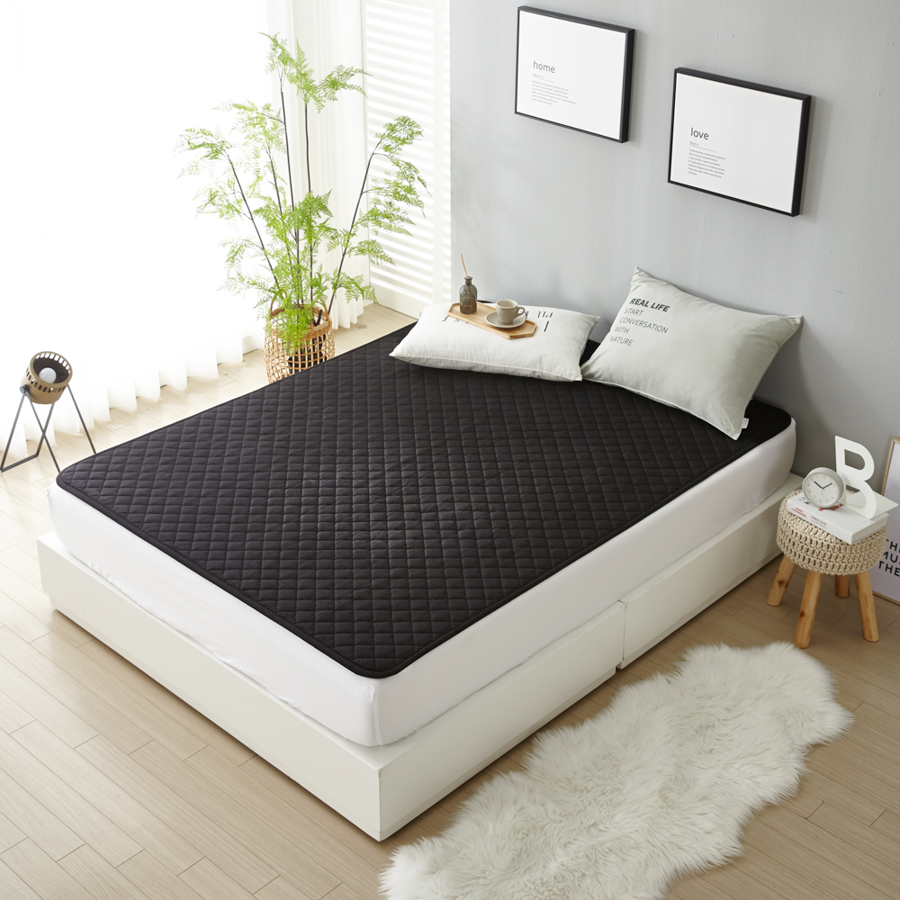 더안 EMF 극세사 탄소매트 DHE-7022, 퀸-분리난방(150 x 200 cm) 99,800원