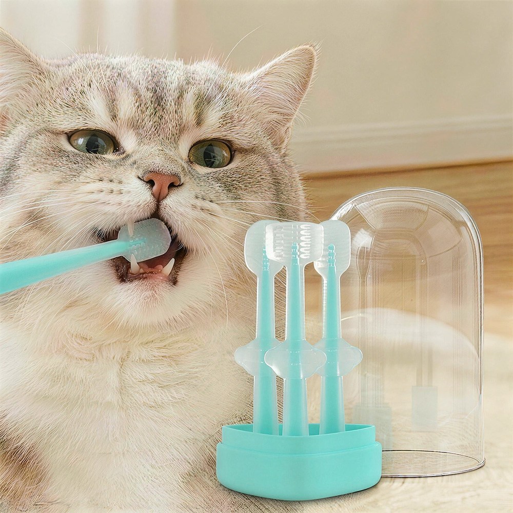 강아지 칫솔 고양이 칫솔 잇몸칫솔 실리카겔, 3개, 푸른 색 19,800원