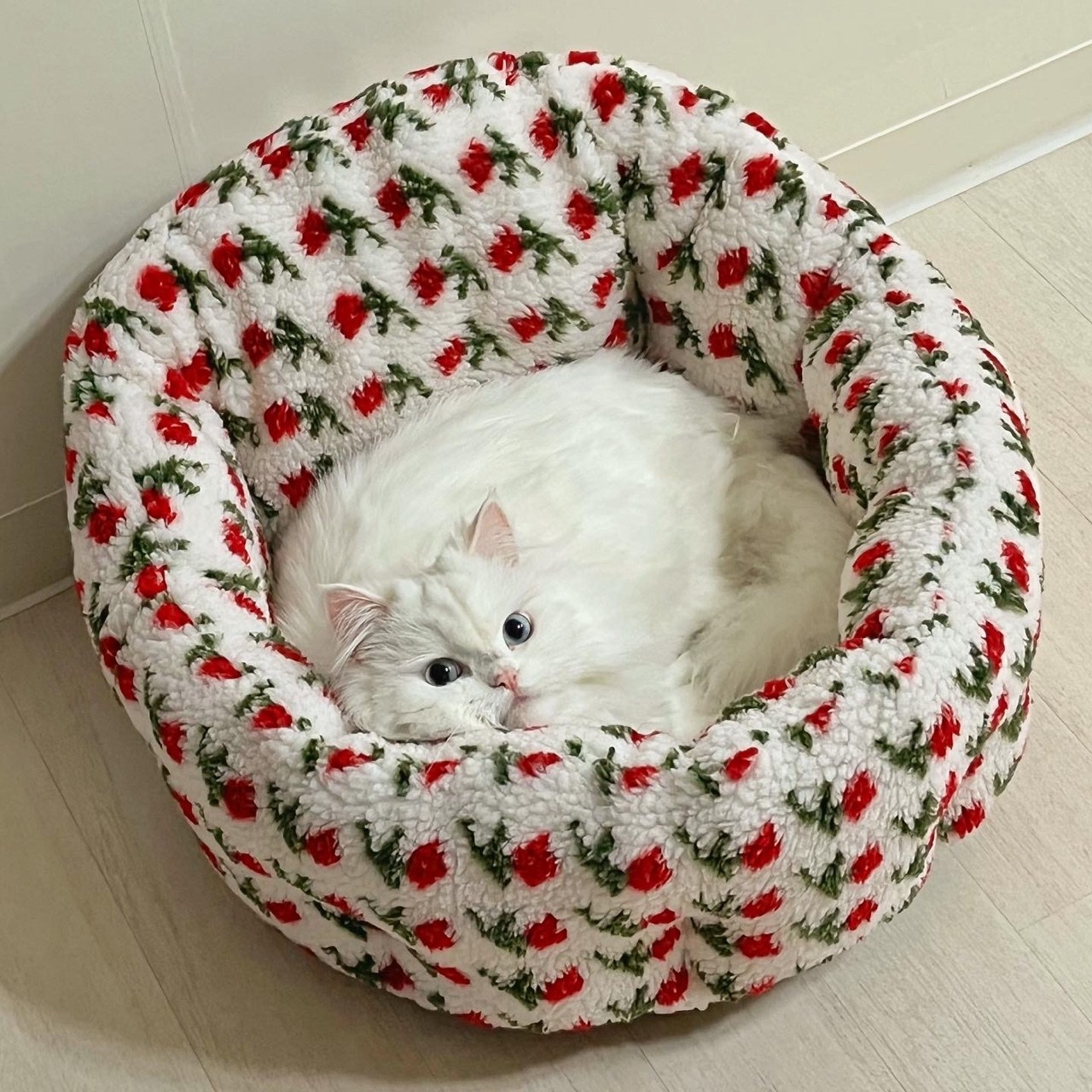 가티가티 고양이 숨숨방석 쿠션 마약 방석 강아지 원형 도넛, 화이트 로즈, 1개 41,900원