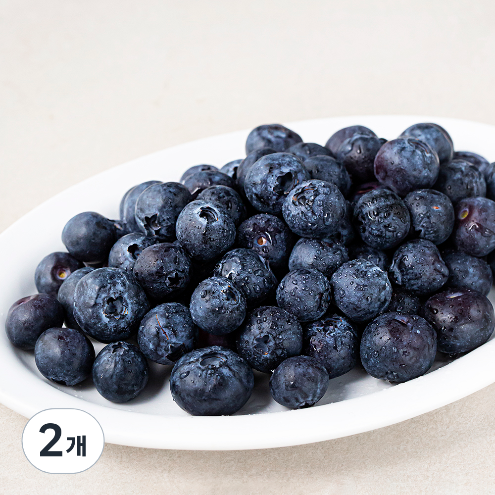 칠레산 블루베리 14,370원