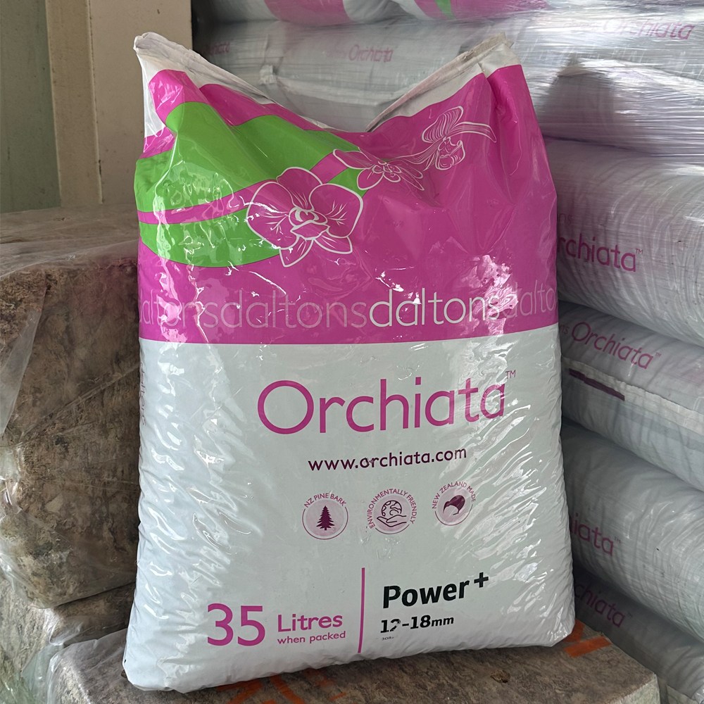 담쟁이가든 오키아타 바크 대립 사이즈(12mm~18mm) 소포장, 1개 36,900원