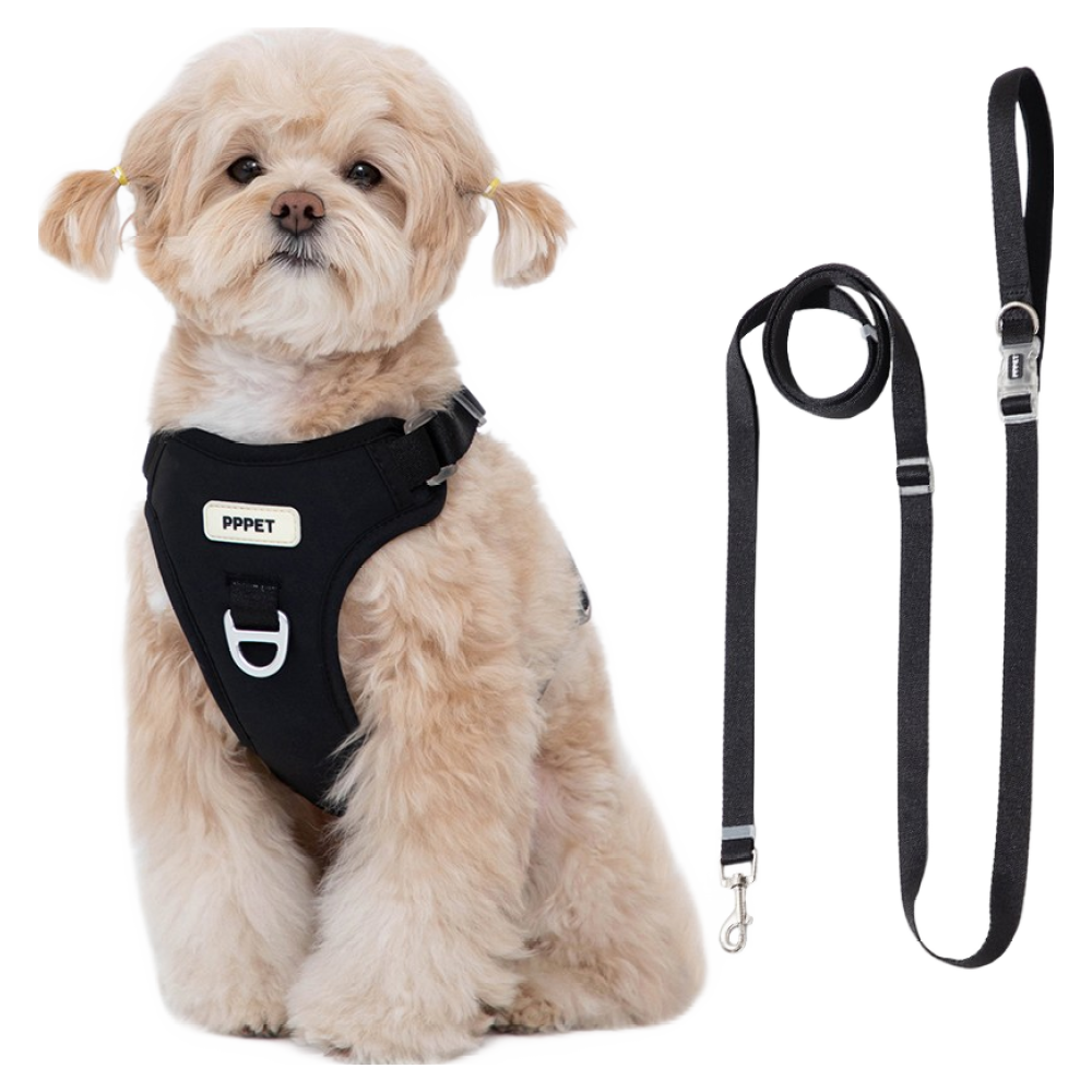펫펫펫 강아지 하네스 + 리드줄 세트 38,200원