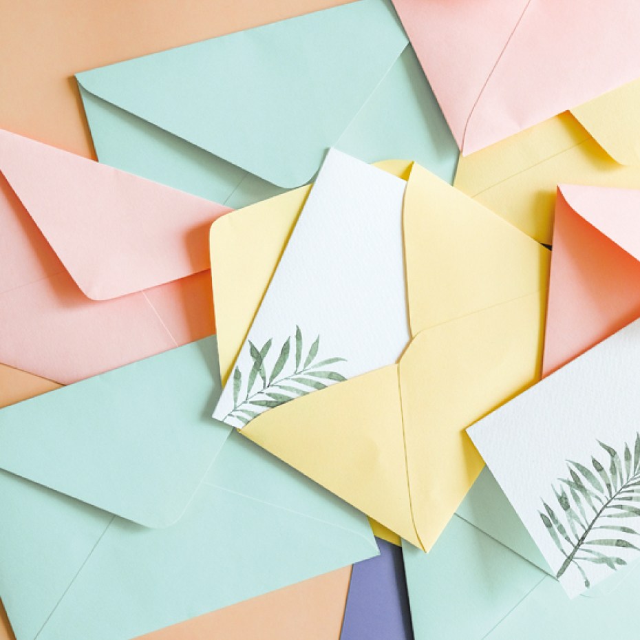 베어플레이 파스텔칼라 엽서봉투 4x6 164 x 115mm 13,500원