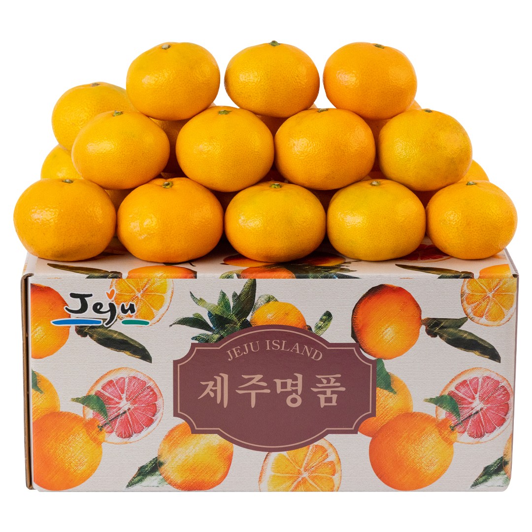 귤부심 타이벡조생감귤 고당도 제주산지직송, 1박스, 혼합 10kg(실중량 9kg) 23,000원