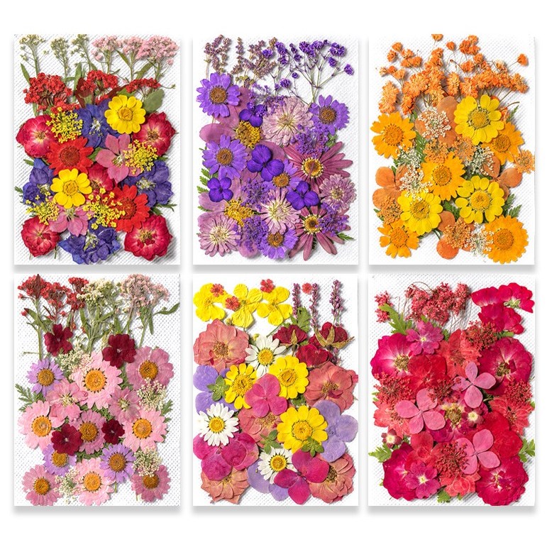 압화 드라이플라워 B형 세트 꽃 공예 꾸미기 플라워 장식 만들기 8,500원