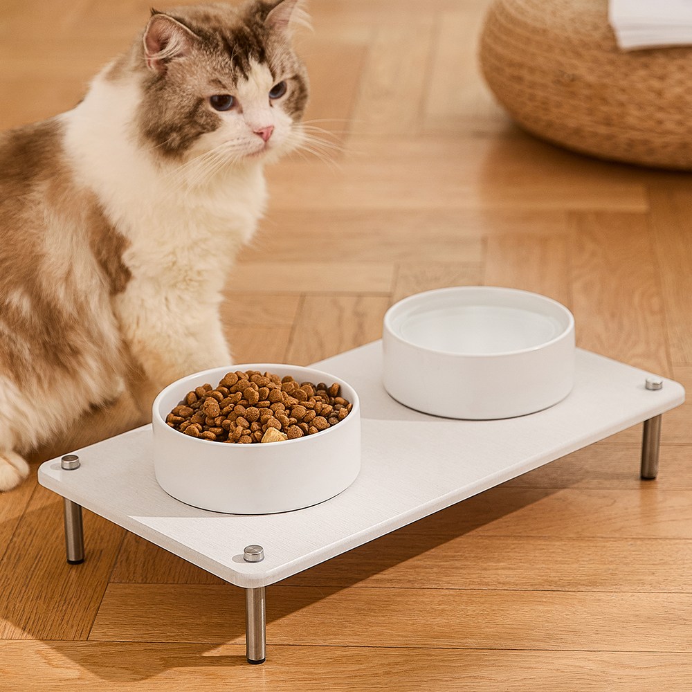 빌라드하우스 뽀송 프리미엄 애견 규조토 펫 식기 세트 높이 조절 도자기 강아지 밥그릇 고양이 물그릇, 1개, 크림 화이트 34,900원