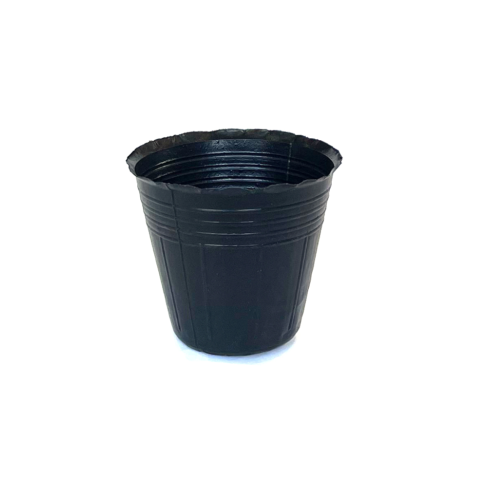 검정비닐포트 9cm 4000개 플라스틱화분 모종 분갈이흙 62,100원
