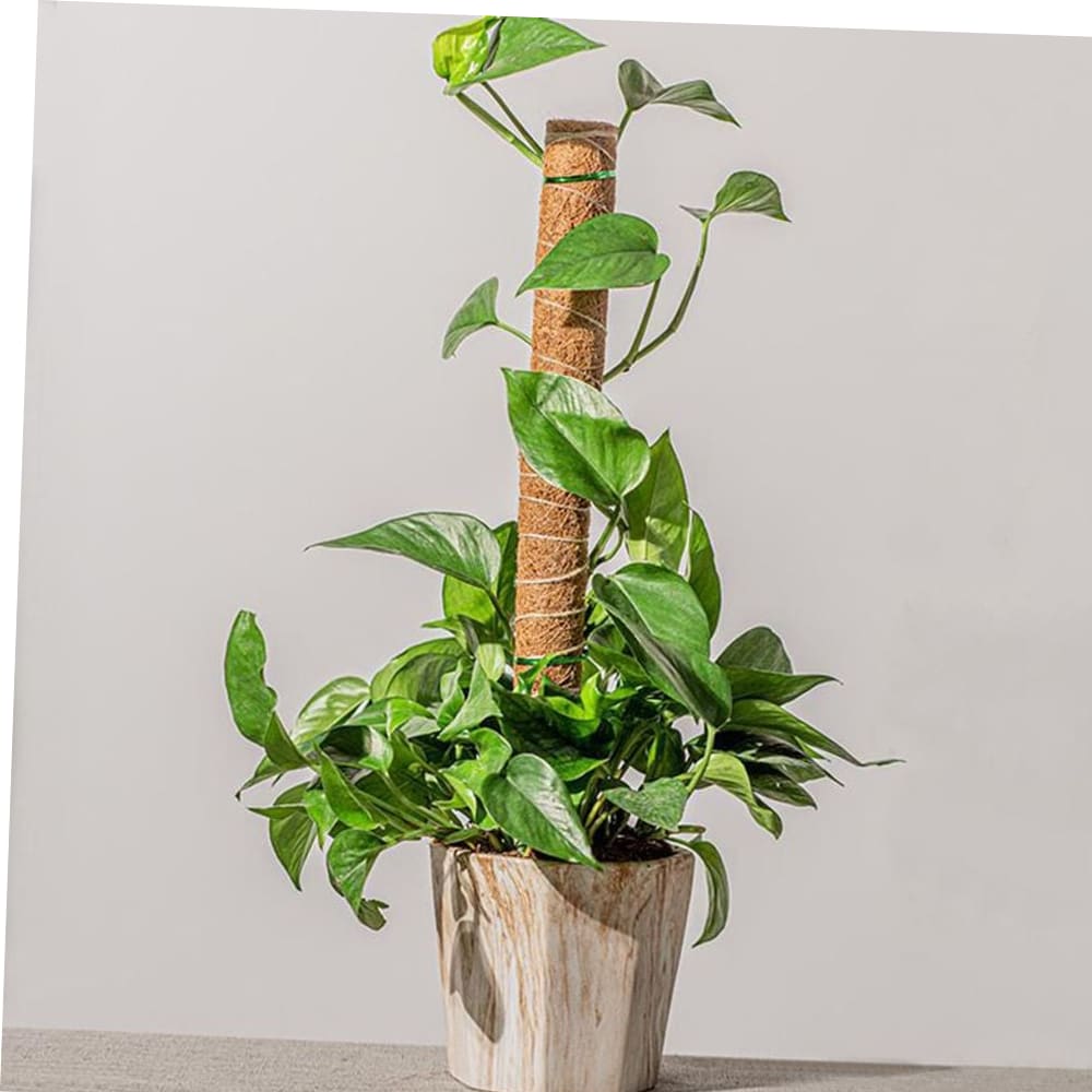 원예소품 원예봉 식물 지지대 지주대 수태봉 1m M11068 14,600원