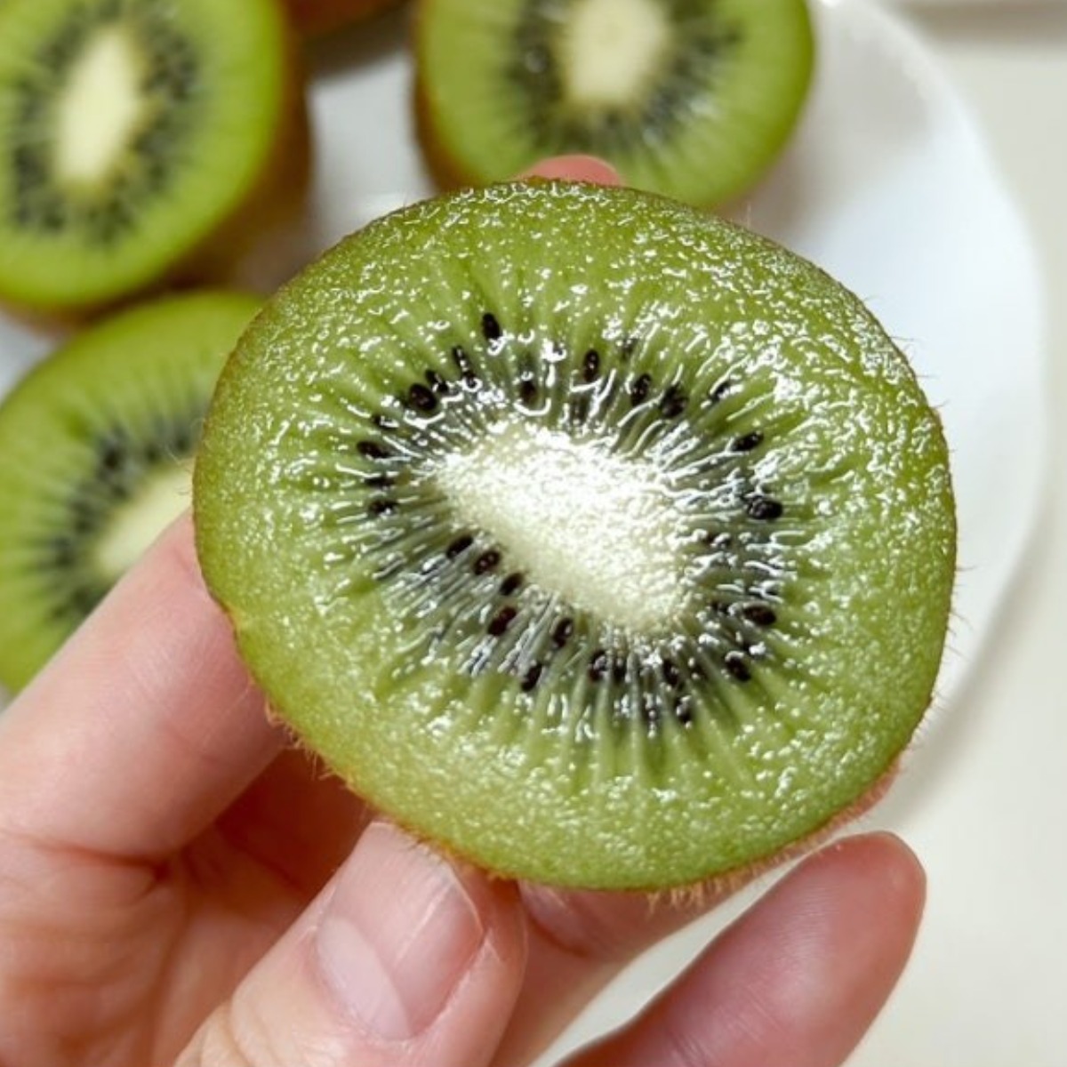 [꿀당도] 친환경 그린키위 참다래 2kg, 1박스, 대과 2kg (18과 내외) 19,900원