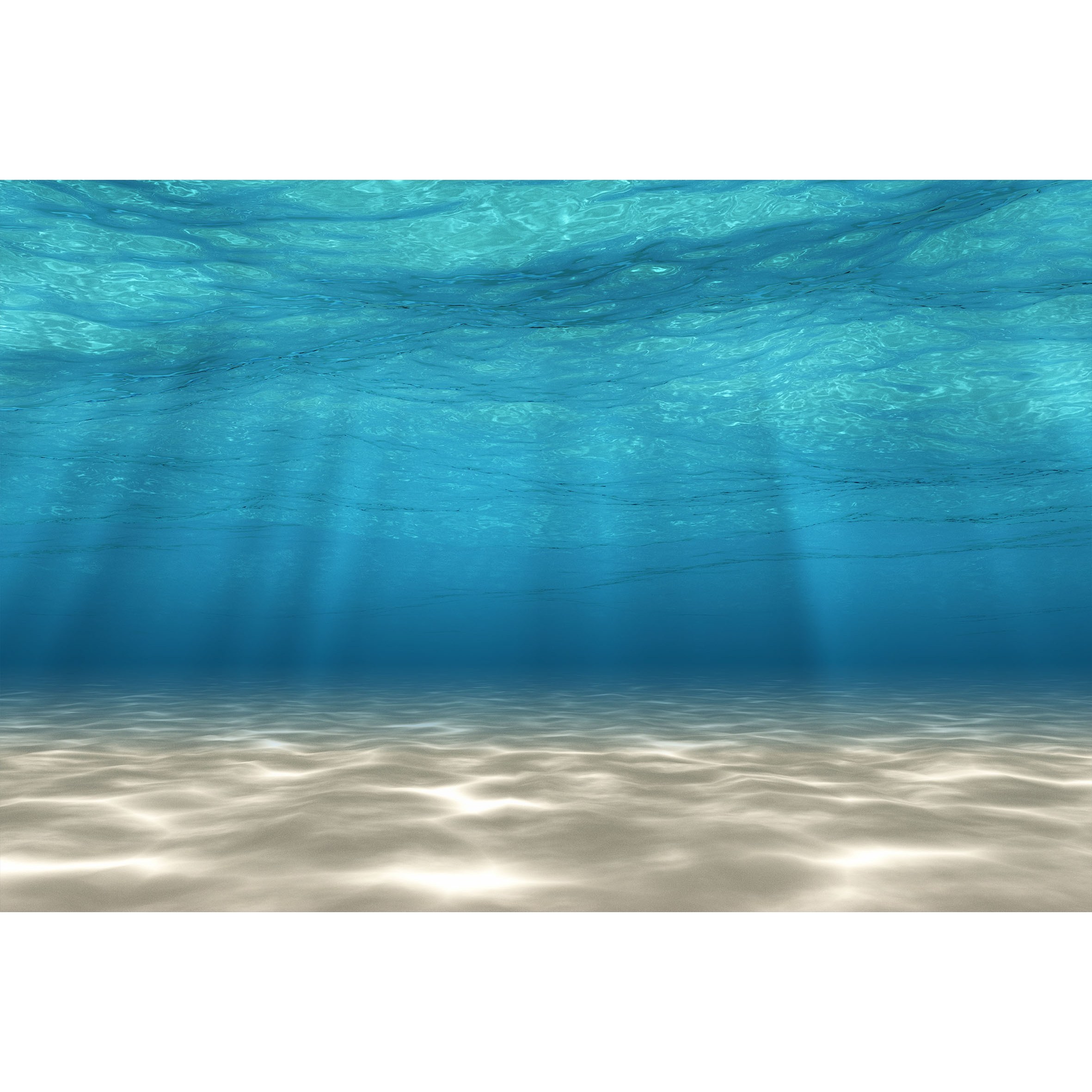 코나 주방아트보드 가스렌지 인덕션 가드 가림막 기름튐방지 바닷속 35,900원