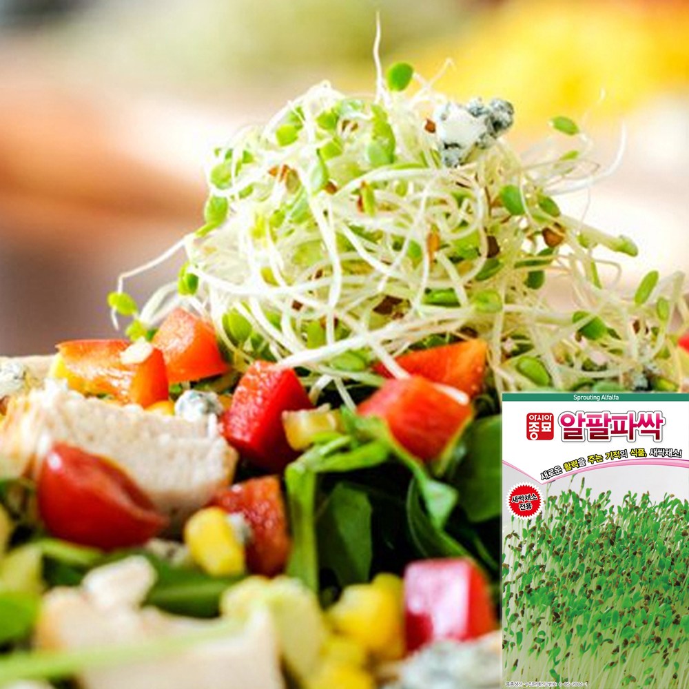 세경팜 알파파싹30g 새싹채소씨앗 키우기 3,000원