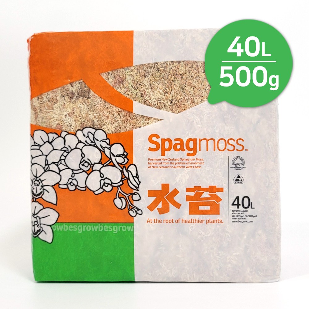 수태 뉴질랜드산 압축 천연 이끼 몬스테라 호접란 풍란 분갈이 삽목 26,800원