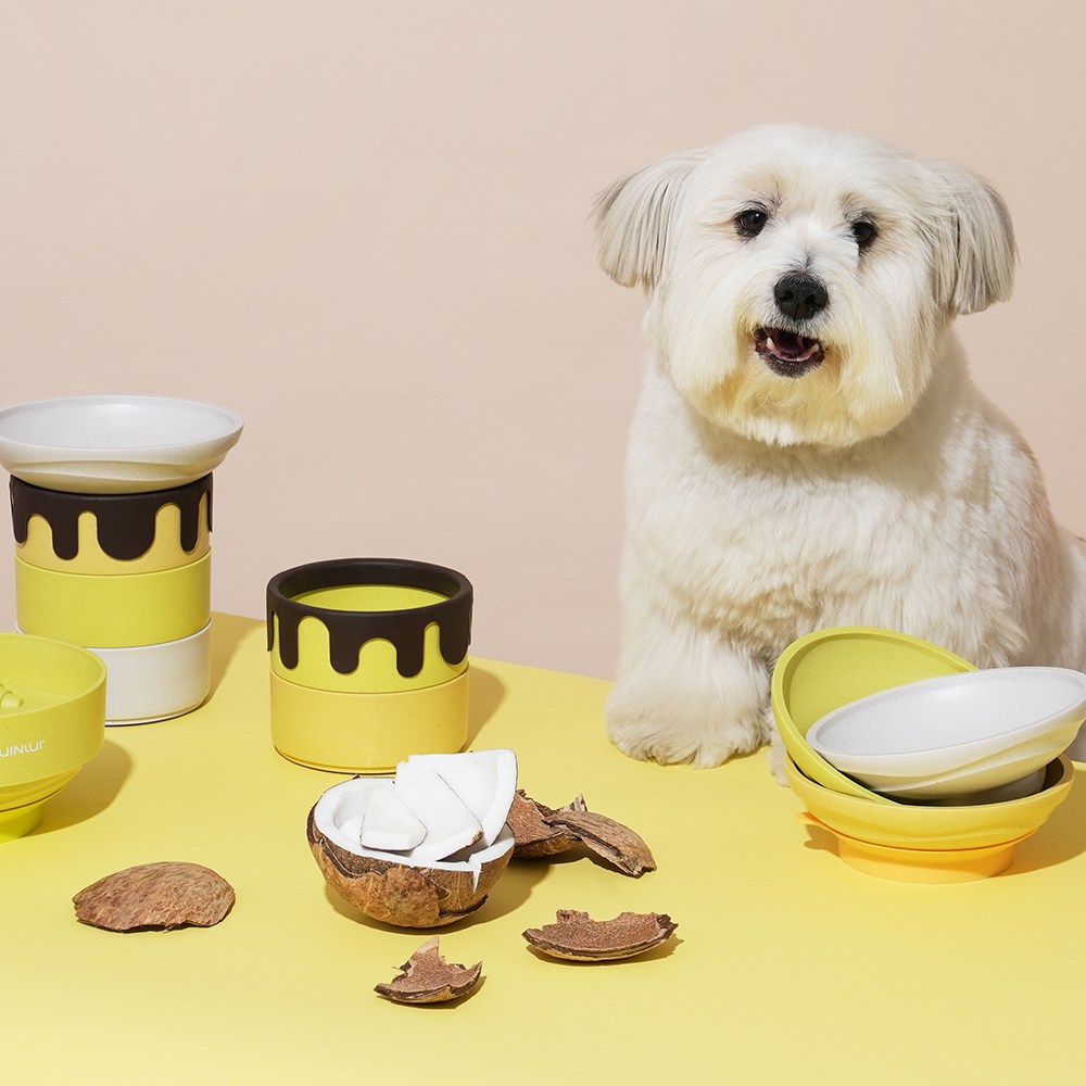 본아페티 친환경 강아지 고양이 식기 밥그릇 물그릇 각도 높이 조절 애견 급체방지용 식기 37,900원