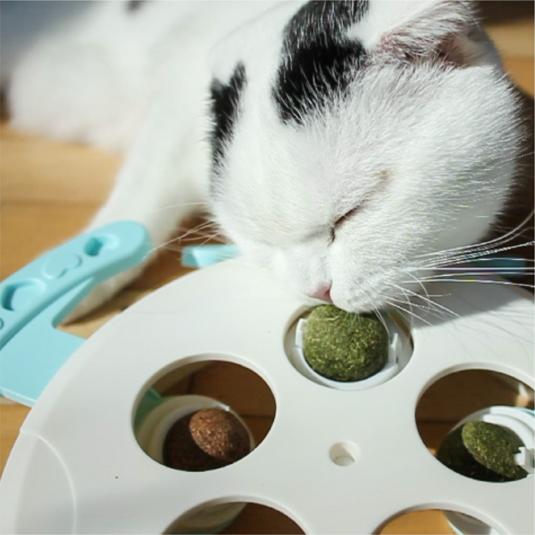 고양이 행동유발장난감 우울증 해소 두더지잡기 움직이는 캣닢볼 사냥 토이 24,900원