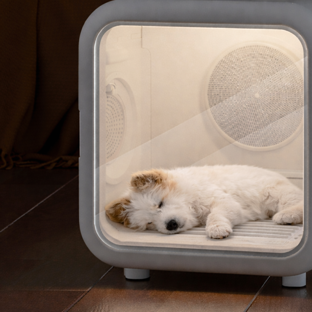 도기케어 프리미엄 펫드라이룸 강아지 고양이 드라이기 털 건조기 저소음 에견드라이룸, 1개, 화이트, 프리미엄 179,000원