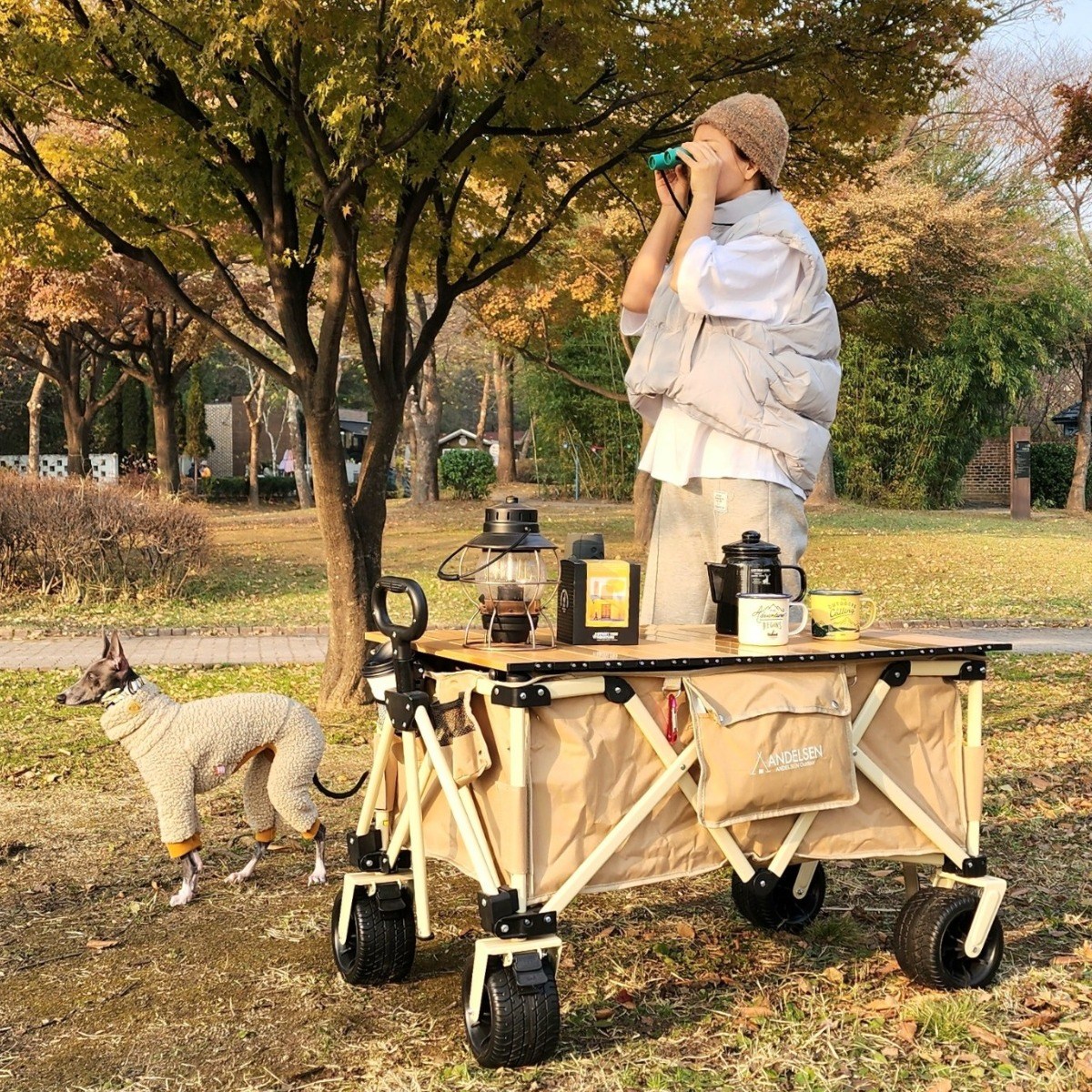 [TOP1 ] 안델센 V2 더플러스 캠핑웨건 (3컬러, 광폭타이어 분리세척 ,3단핸들길이조절 ,저소음 바퀴,컴팩트한 디자인), 탄베이지(가을맞이세일중), 1개 107,580원