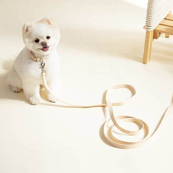 힛찌 초경량 소프트 반려동물 목줄, 네츄럴베이지, 1개 11,390원