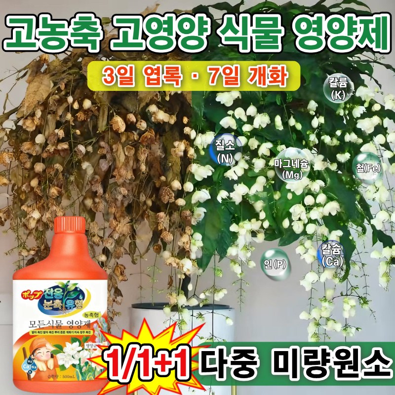 [화초 영양제 +토양활력제]1/1+1화초 영양제 겨울철 가정용 모든 식물영양제 토양 영양제 칼슘 붕소 마그네슘 인 다중 미량원소 병균 예방 치료 식물이 생기를 되찾다 13,800원