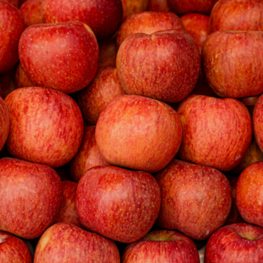 ( 부사 사과 ) 경상북도 고당도 부사 사과, 1개, 5kg 대과 49,500원