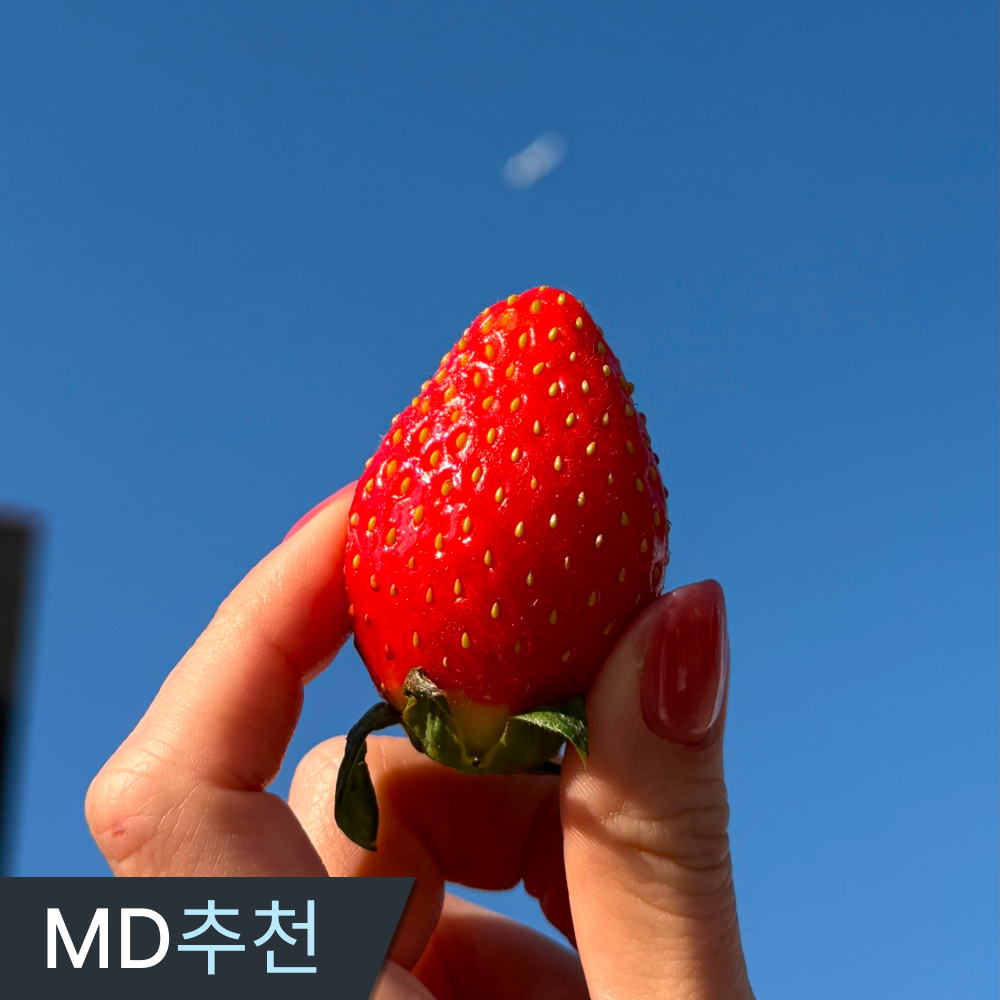 삼시세끼연구소 겨울향 터지는 최상품 햇 설향딸기 논산 딸기 대과 32,370원