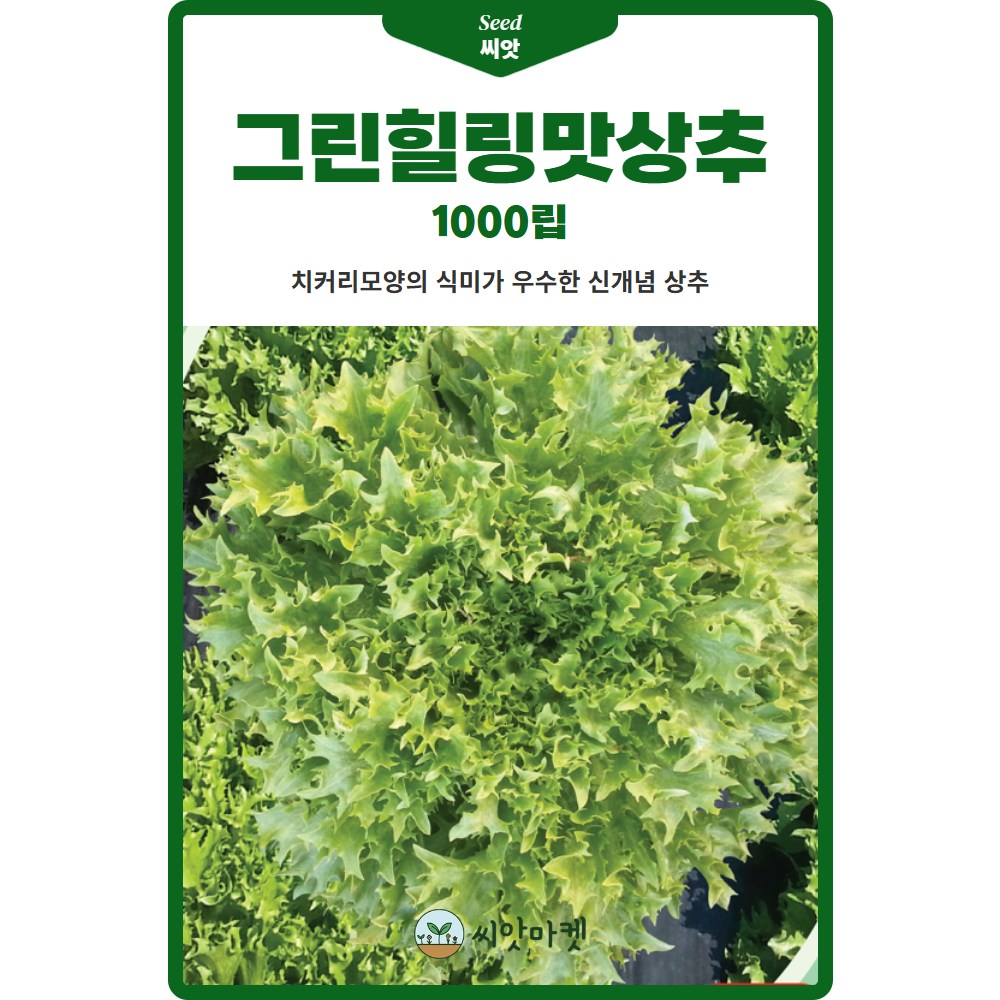 그린힐링맛 상추 씨앗 1000립 치커리 모양의 신개념 상추씨 종자 2,900원