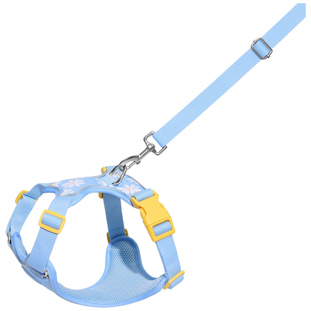 VETRESKA 데이지 펫 하네스 & 리드줄 세트, 1개, 데이지 펫 하네스 & 리드줄 세트 57,000원