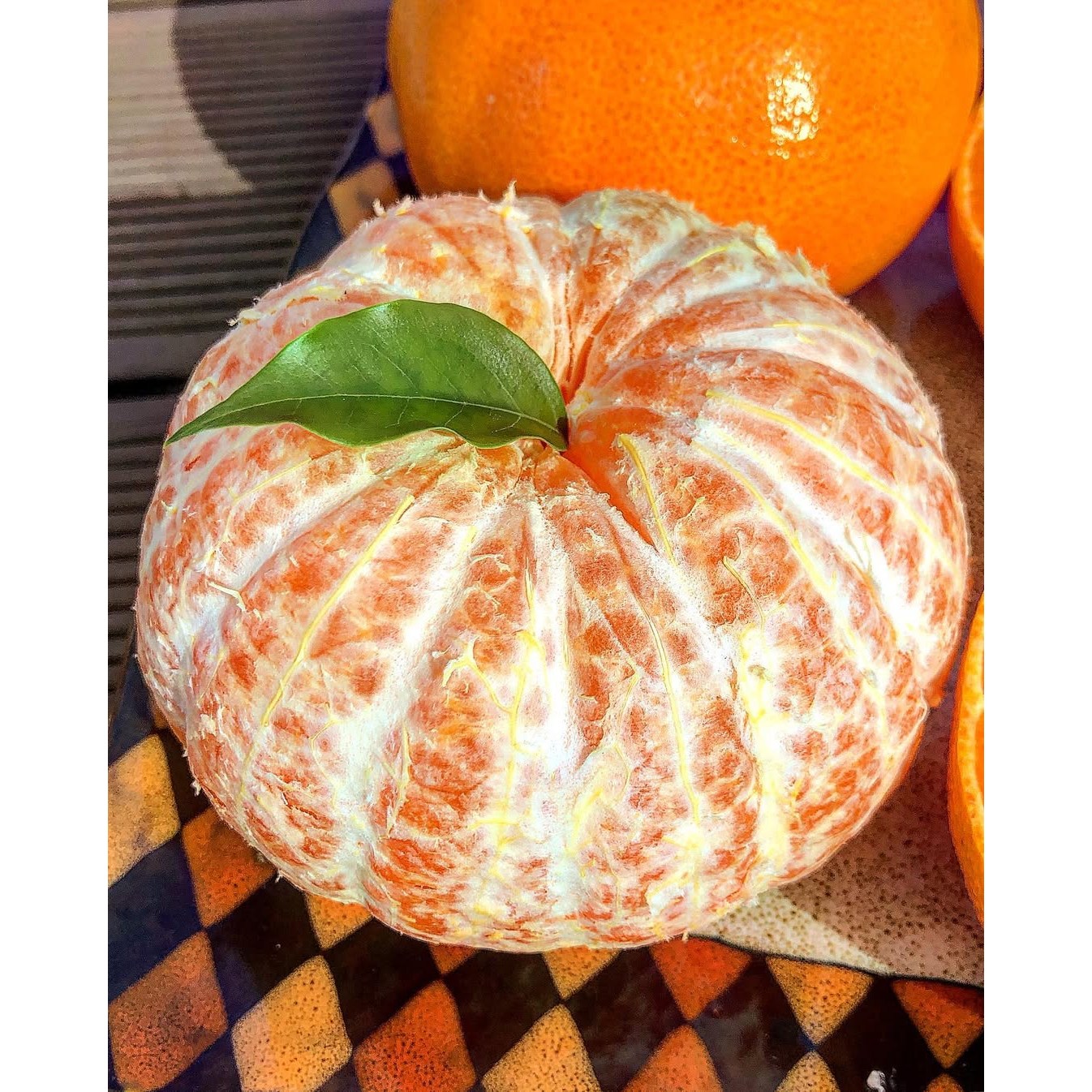 [제주 농가직송] 황금빛 천혜향 11,200원