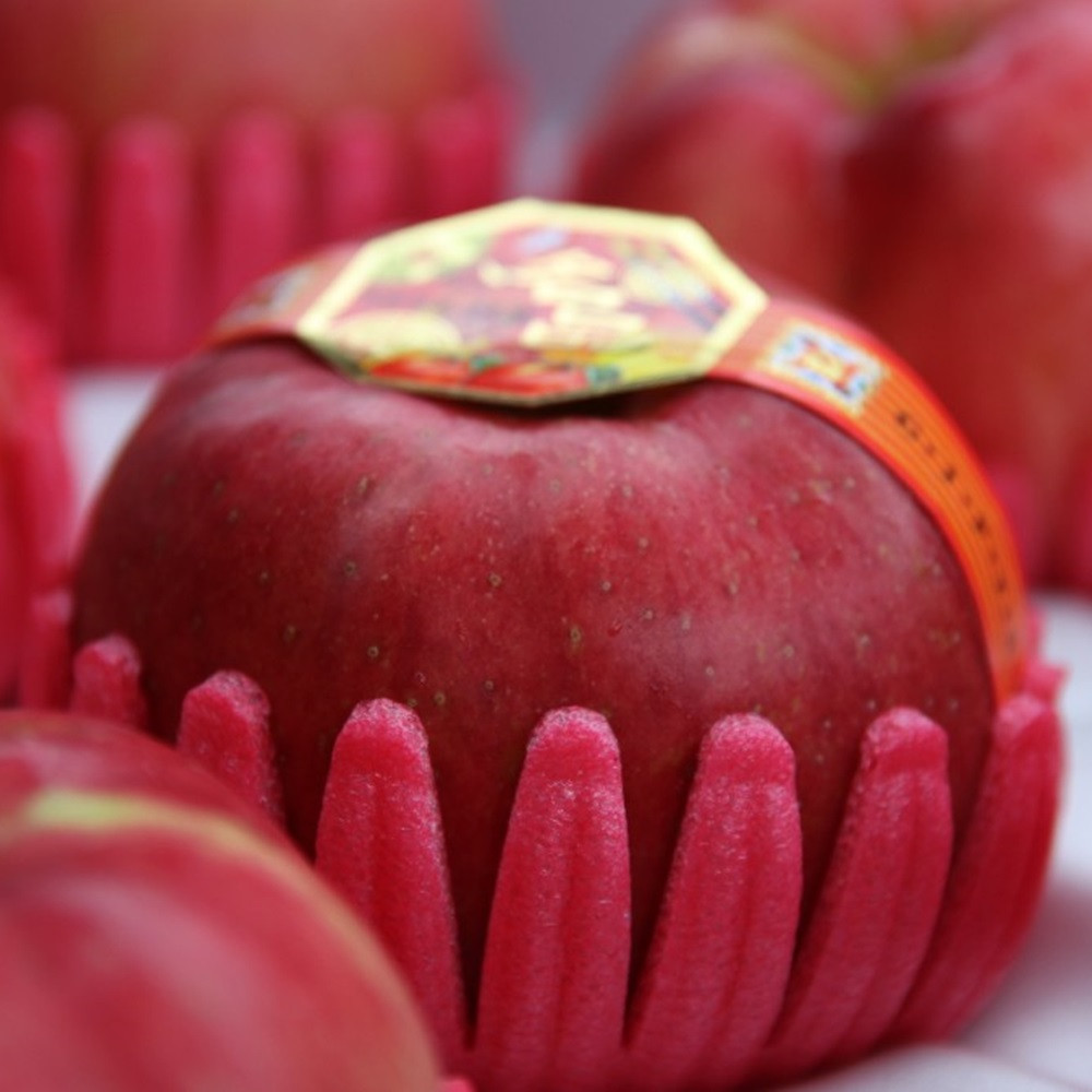 안동댁 부사 사과 선물세트 / 정품 / 가정용 흠과 명품 유명한곳 백화점 혼합 과일 사과 배 프리미엄 제수용 흠사과 선물용 꿀 낙과 보조개 쥬스용 주스용 못난이 흠집 경북 안동 설, 1박스, 06.사과선물세트(보자기포함) 5kg특과(11~13과) 85,700원