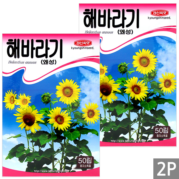 세인화분 키작은 왜성 해바라기 50립 - 씨 씨앗 꽃씨 해바라기씨 6,500원
