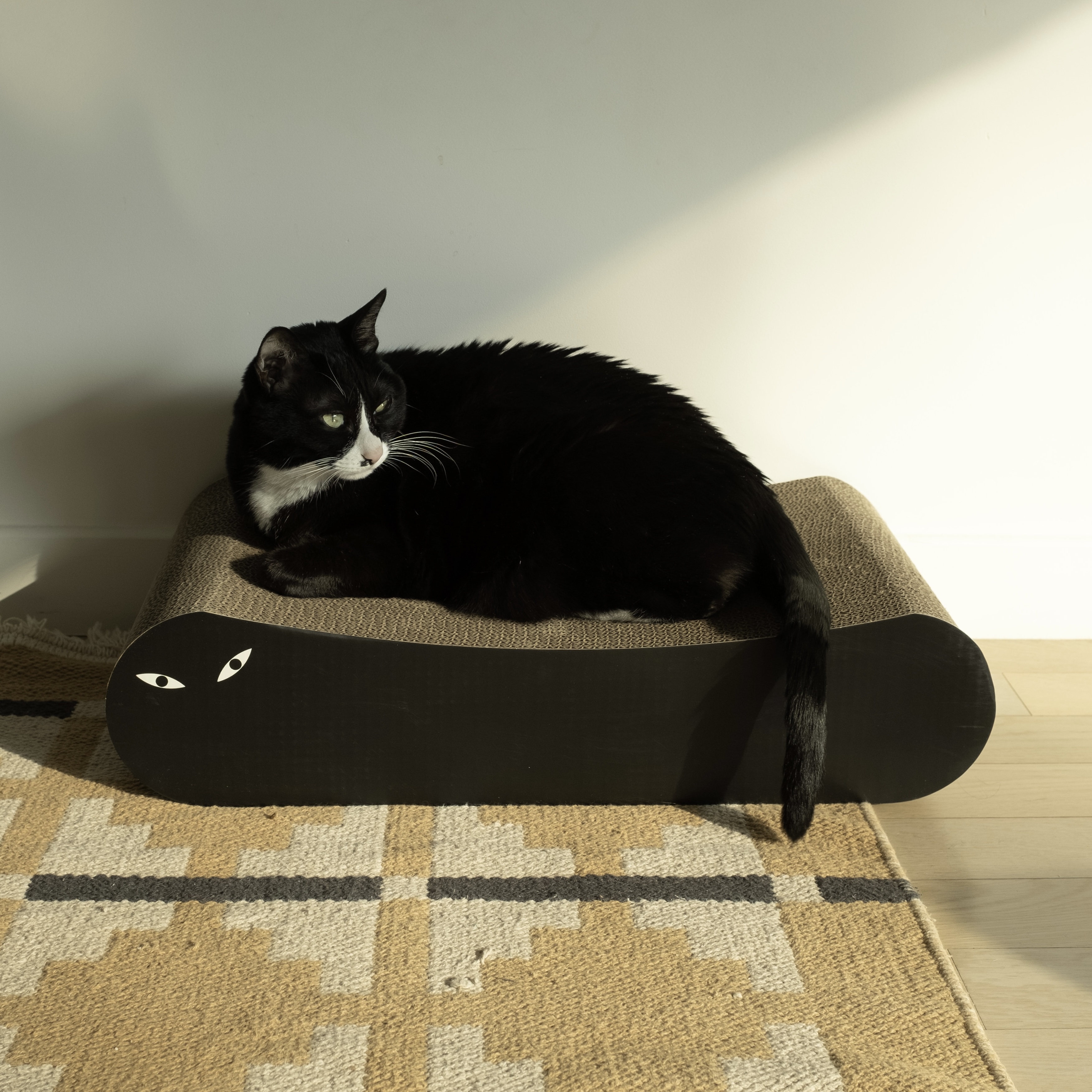 네꼬모리 캣카우치 고양이 소파 평판형 스크래쳐, 혼합색상, 1개 14,400원