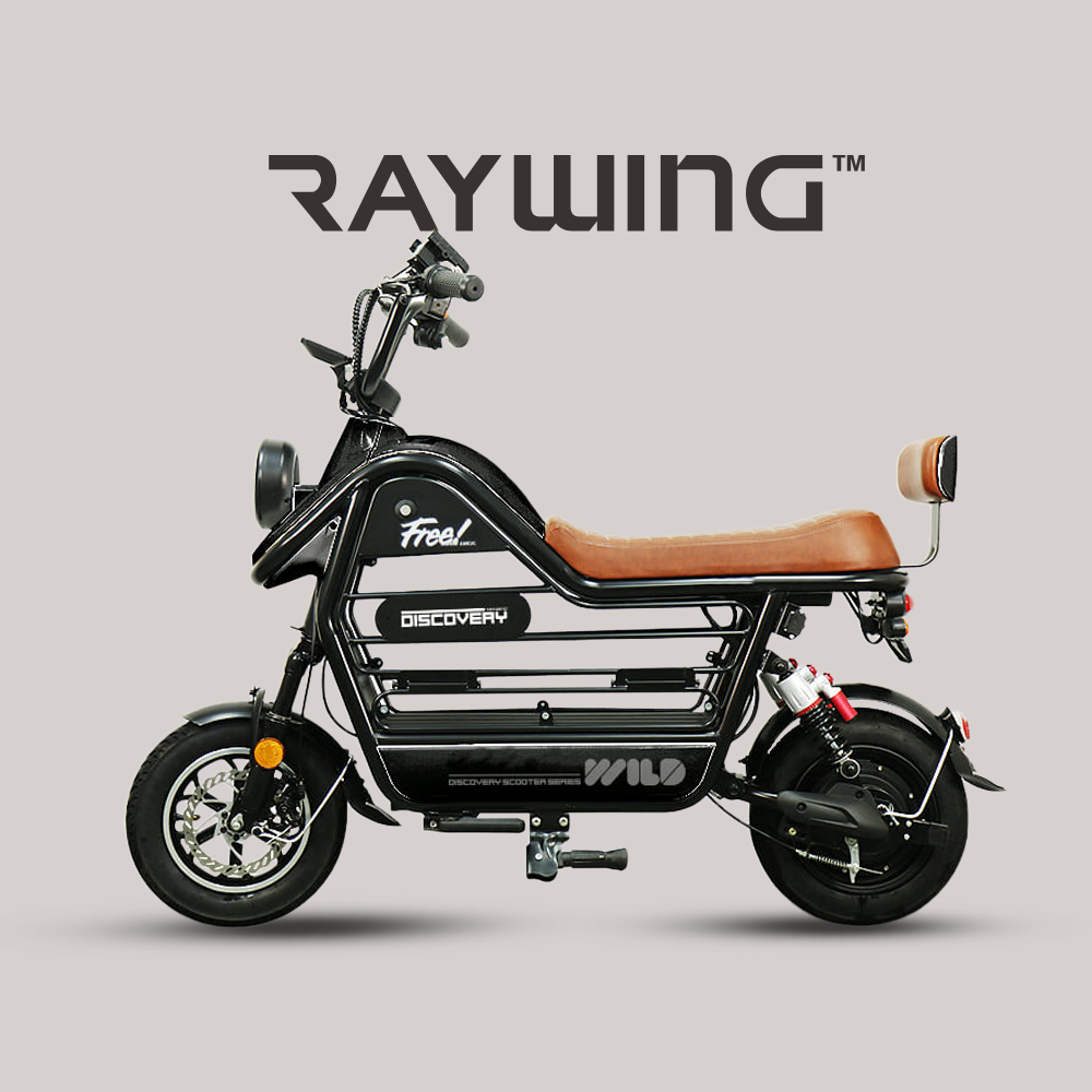 레이윙 디스커버리 와일드 S20 750W 미니 전동스쿠터 857,660원