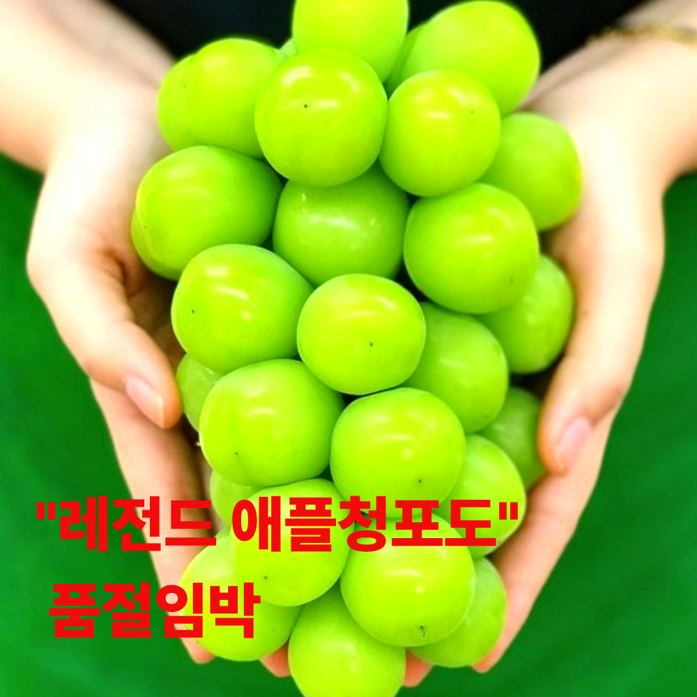 수량한정 애플청포도 산지직송 고당도 명품 54,000원