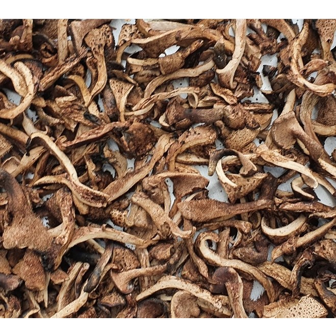 국산 건조 능이버섯 건능이 국내산 정품 말린 능이 100g 225,000원