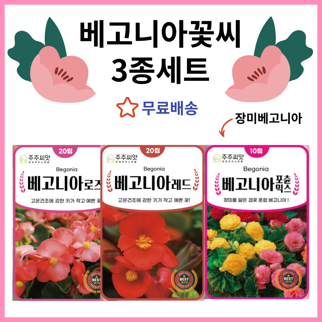 베고니아씨앗 3종세트 키작은 꽃씨앗 봄꽃 여름꽃 가을꽃 파종 주주씨앗 11,500원