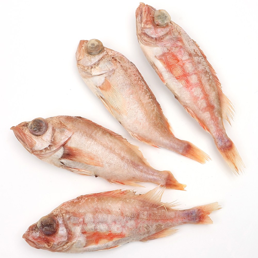 자갈치닷컴 적어 35~37cm전후 107,000원