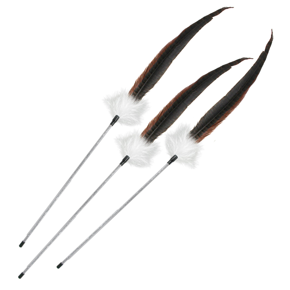 펫츠몬 고양이 프리미엄 롱스냅 깃털 낚시대 장난감 12,650원