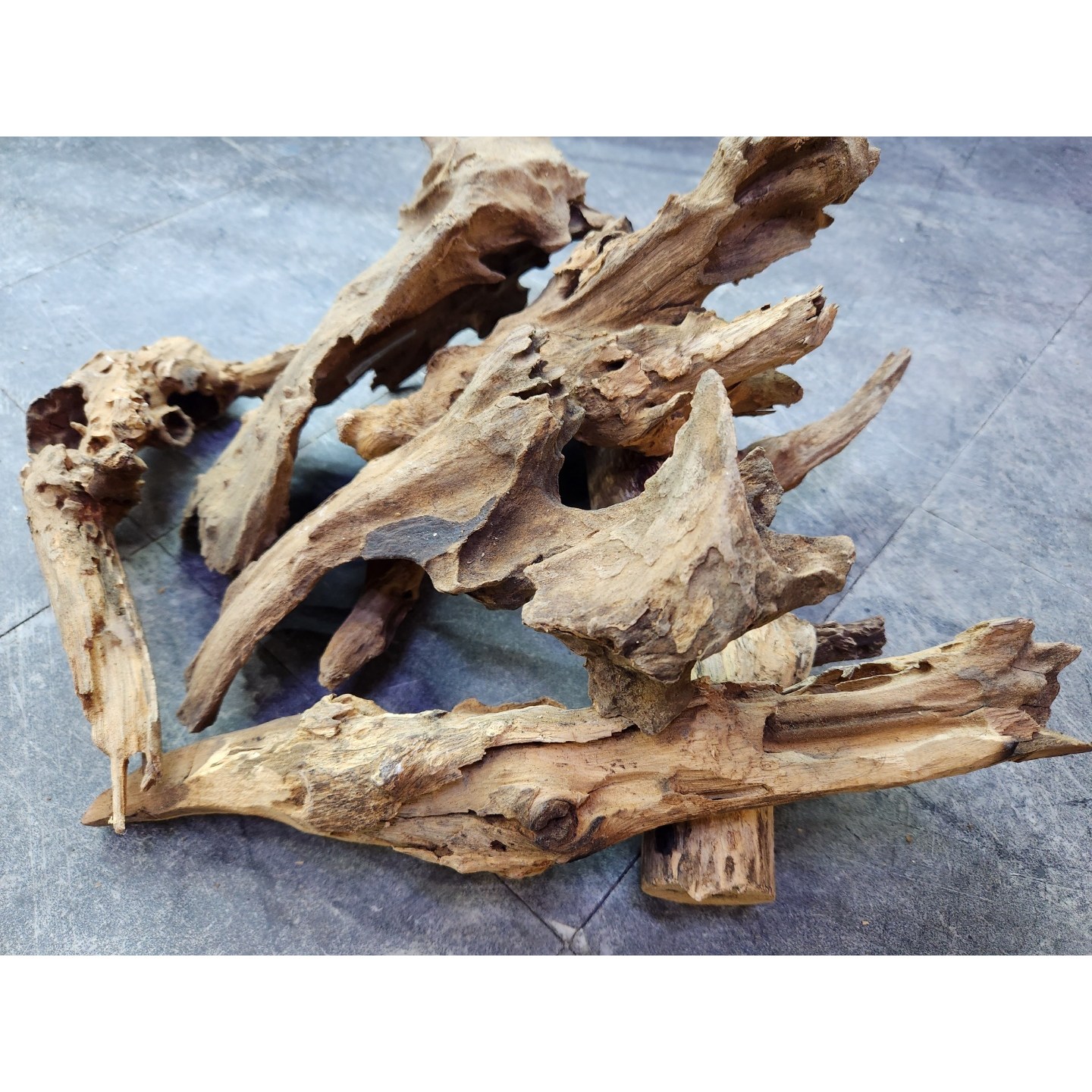 파충류 유목 비바리움 테라리움 용품 어항꾸미기용품 가말우드(소),(중),(대) 6,000원