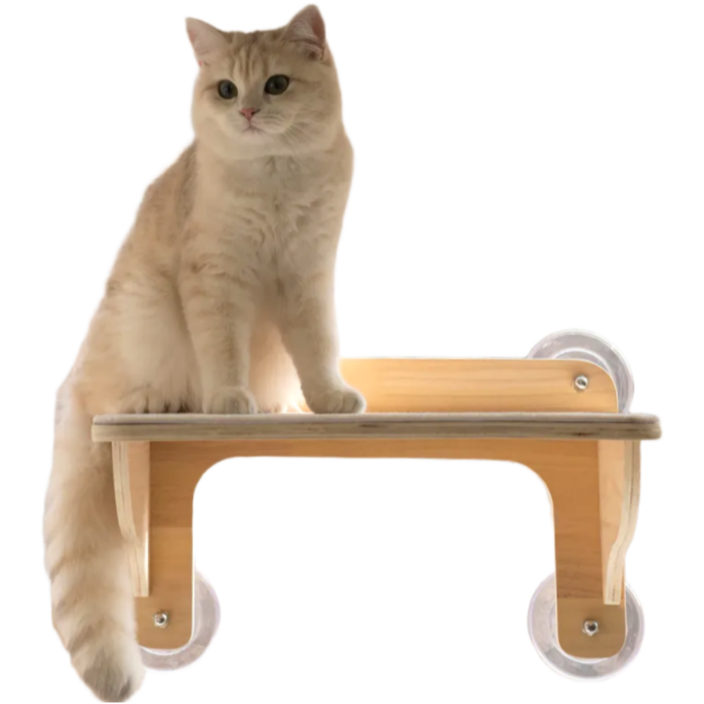 디바피스 고양이 창문 원목 캣타워 캣워커 캣선반 스텝 해먹, 우드+아이보리(카페트), 1개 29,800원