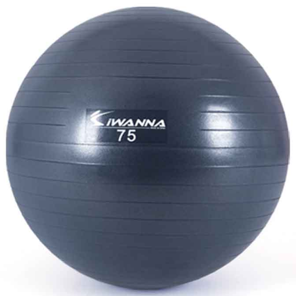 아이워너 안티버스트 다이어트 짐볼 무드인디고 75cm, 무드인디고 17,900원