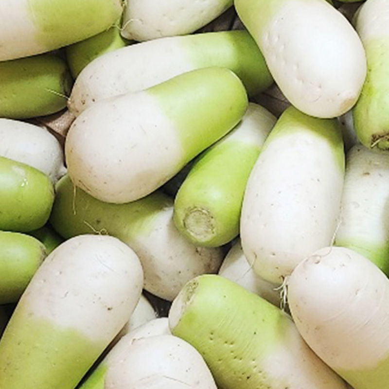 물가안정 금메달농수산 제주도 세척 월동무 11,900원