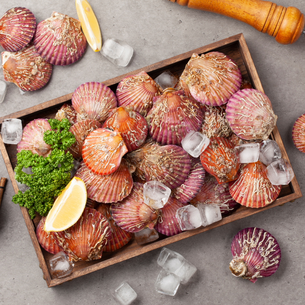 [소소담담] 통영 국산 홍가리비 조개 가리비, 1개, 3kg 10,500원