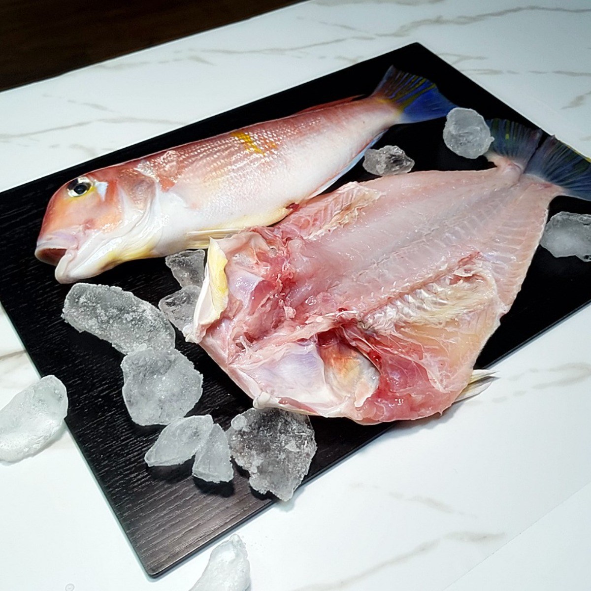 제주 반건조 참옥돔 230g이상 대 124,990원