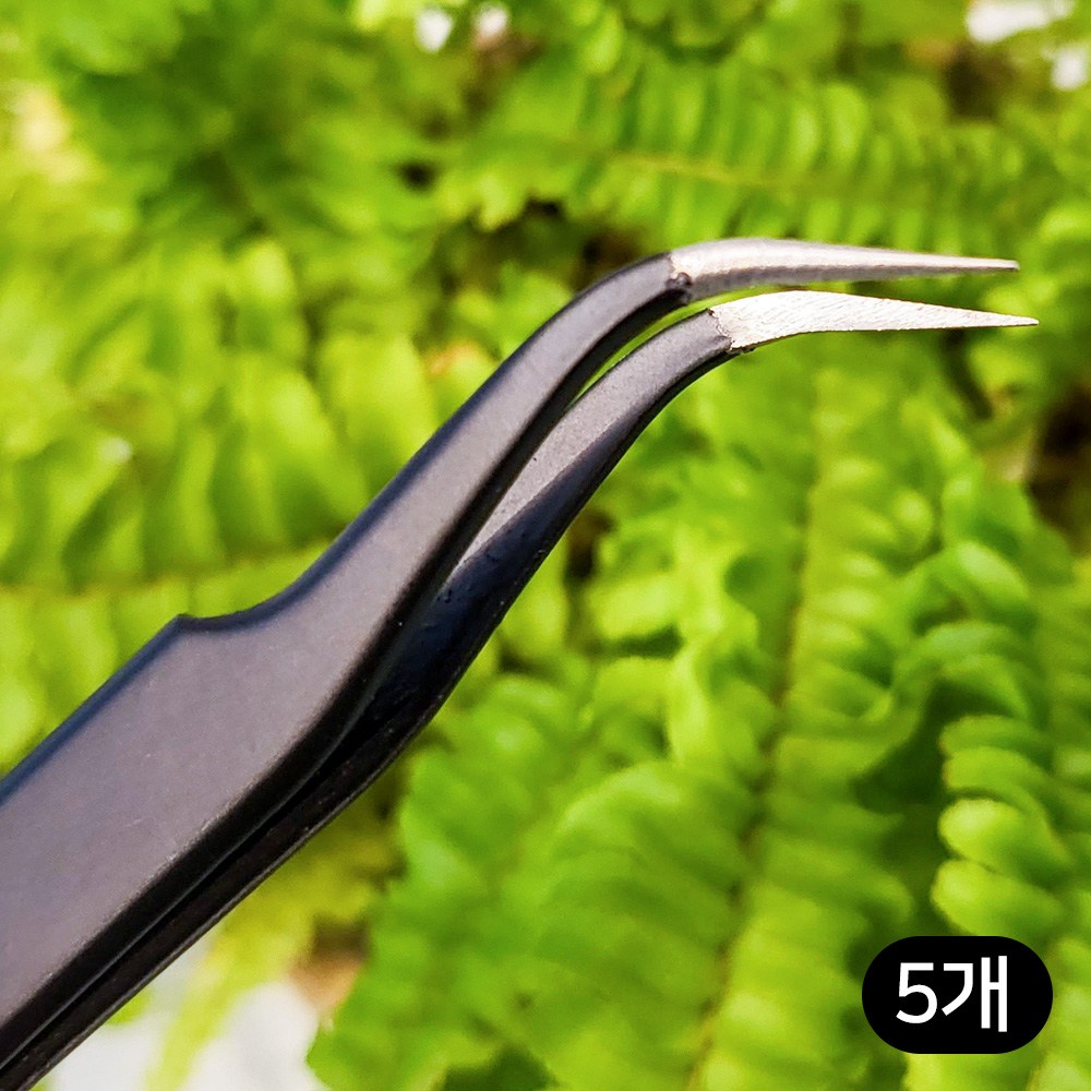 세경팜 식물 다육이 다용도핀셋 곡선형, 5개 13,000원