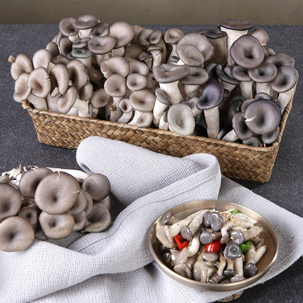 [보령머쉬팜] 느타리버섯2kg특품, 1개, 특품 느타리버섯2kg 15,900원