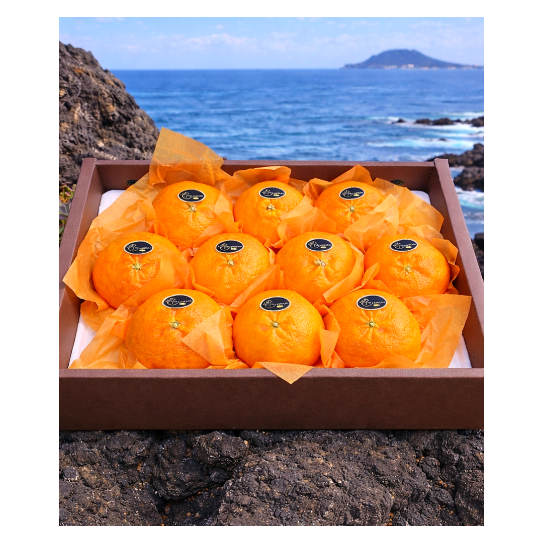 [탐나레드]프리미엄 제주레드향 선물세트 농가직송 고당도선별 선물용 가정용, 1박스, 3kg 59,000원