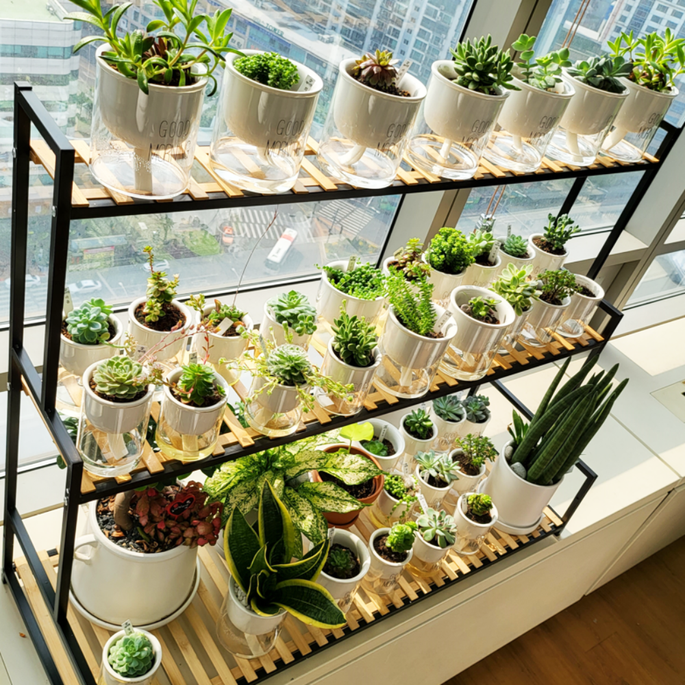 까도사 화분진열대 거실 베란다 화분선반 59,800원