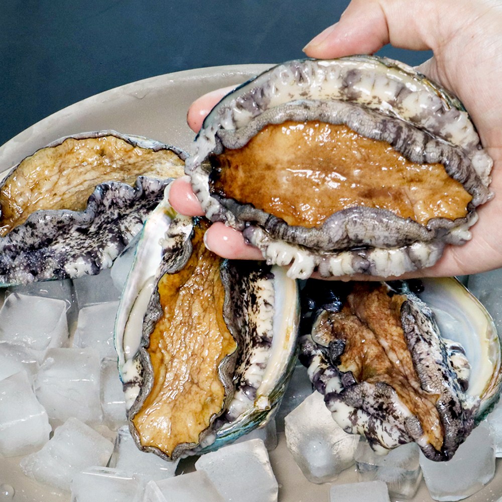 바다in연 프리미엄 활전복 1kg 완도산, 산소포장 30,000원