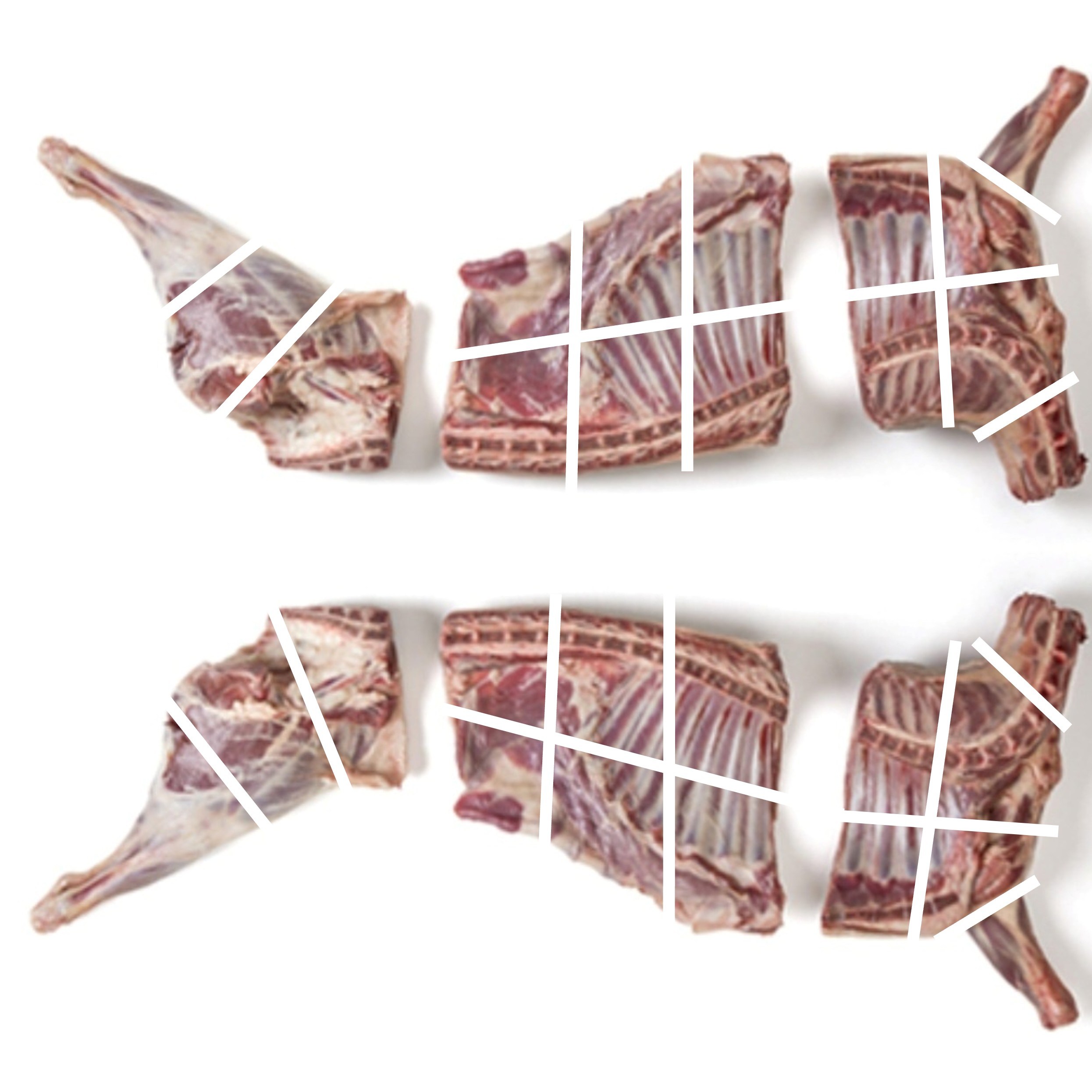 [행복미트] 호주산 양고기 절단지육 (고기+뼈) 8kg내외 할랄인증 램 식당 납품 대용량 전골 스튜 탕용 Halal Lamb, 1개 154,900원