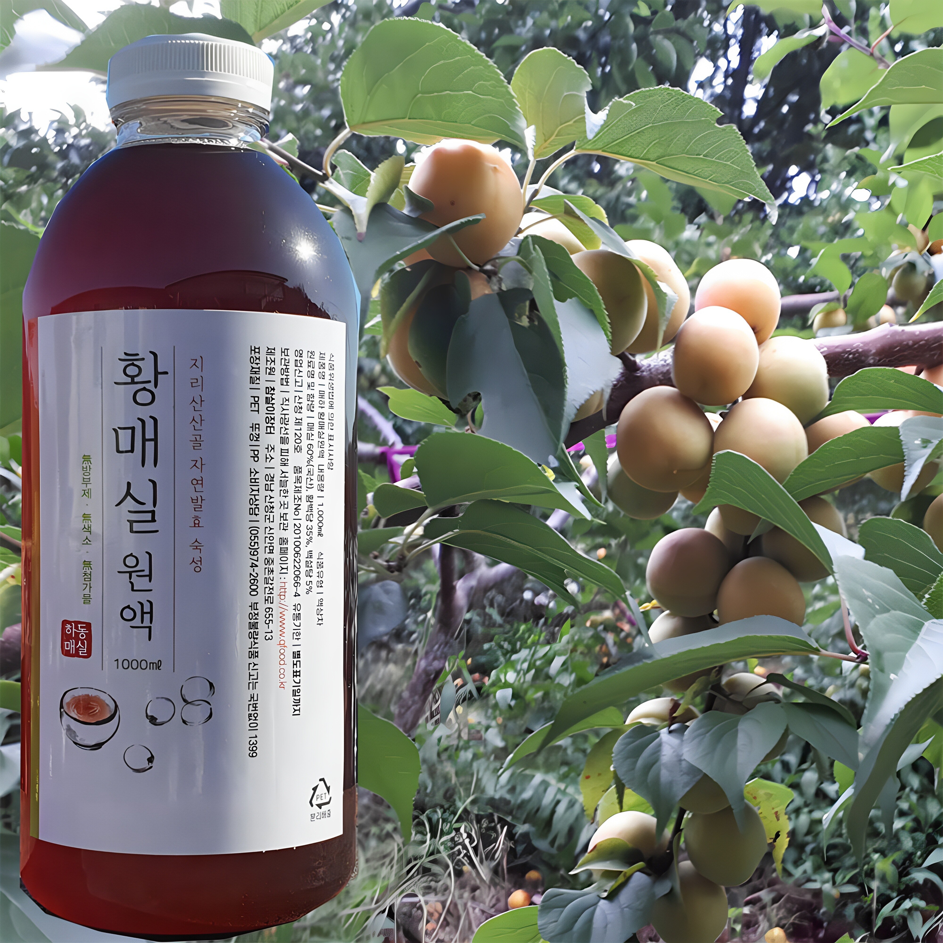 지리산산골 3년숙성 황 매실원액 1000ml 자연발효 숙성 매실액기스 매실청 매실액 12,480원