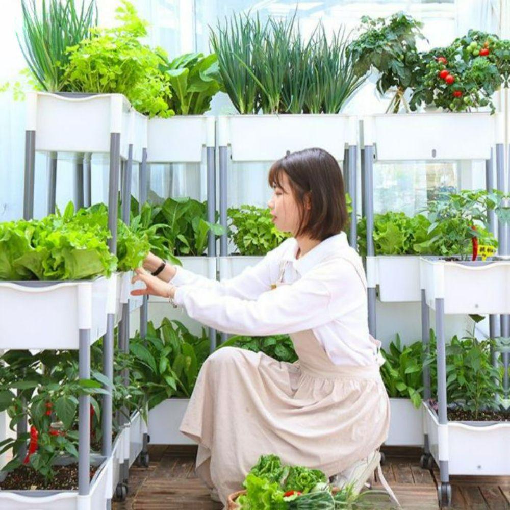 수경 재배기 가정용 야채 상추 식물 채소 실내 키우기 베란다 재배 텃밭 스마트팜 발코니 36,400원
